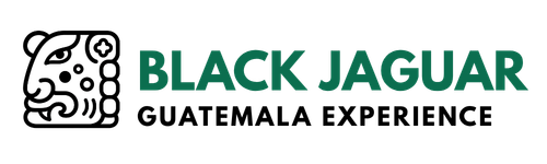 Black Jaguar Logo Website